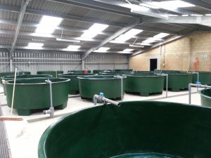 Fish Farming Equipment